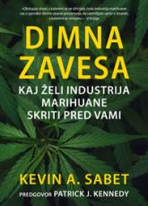 Dimna zavesa