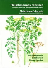 Fleischmannov rebrinec - Fleischmann's Parsnip