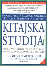 Kitajska študija