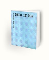 Delo in dom