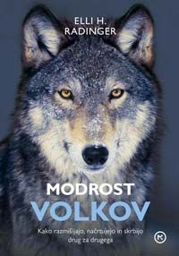 Modrost volkov