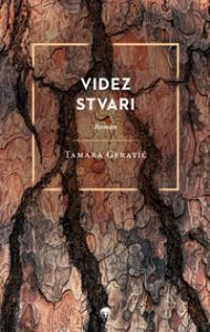 Videz stvari